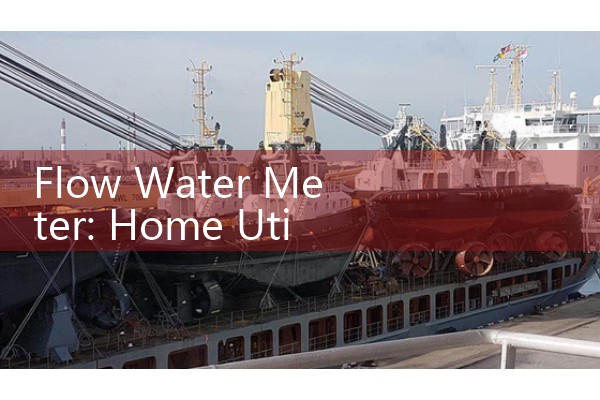 Flow Water Meter: Home Utility and Industrial Main Valves